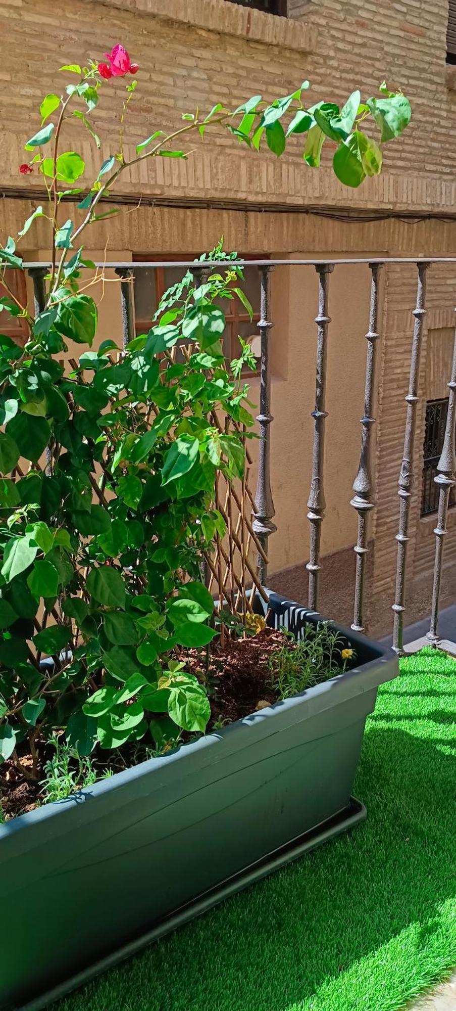 Apartmán Tudela Exteriér fotografie